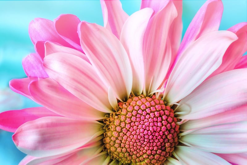 Nature for self-nurturing